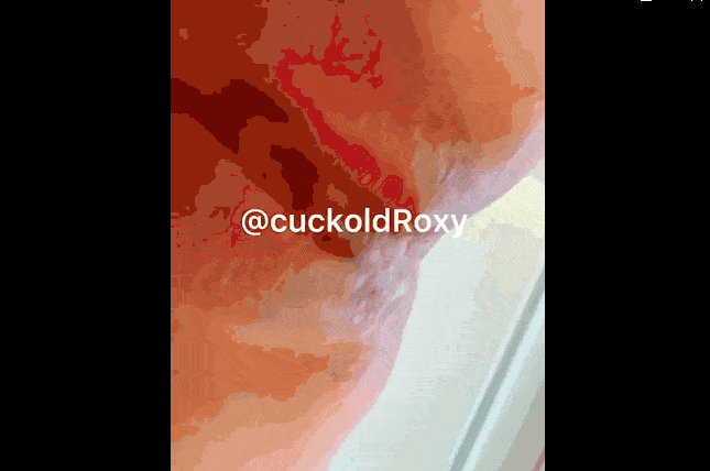 Roxy绿奴妻推特极品绿帽王八老公全套资源208P/264V/28G