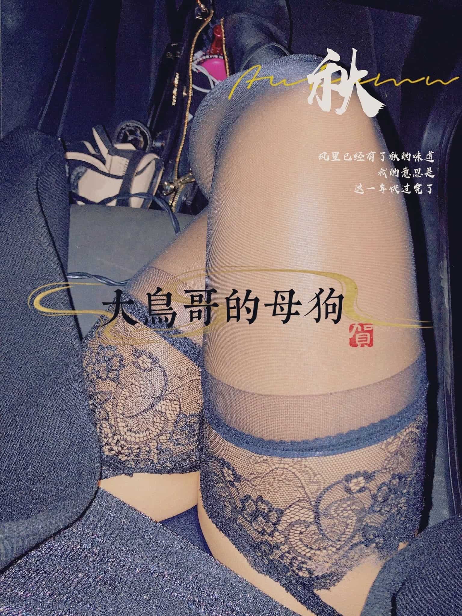 大鸟哥的母狗啪啪调教217V/72P/1.3G