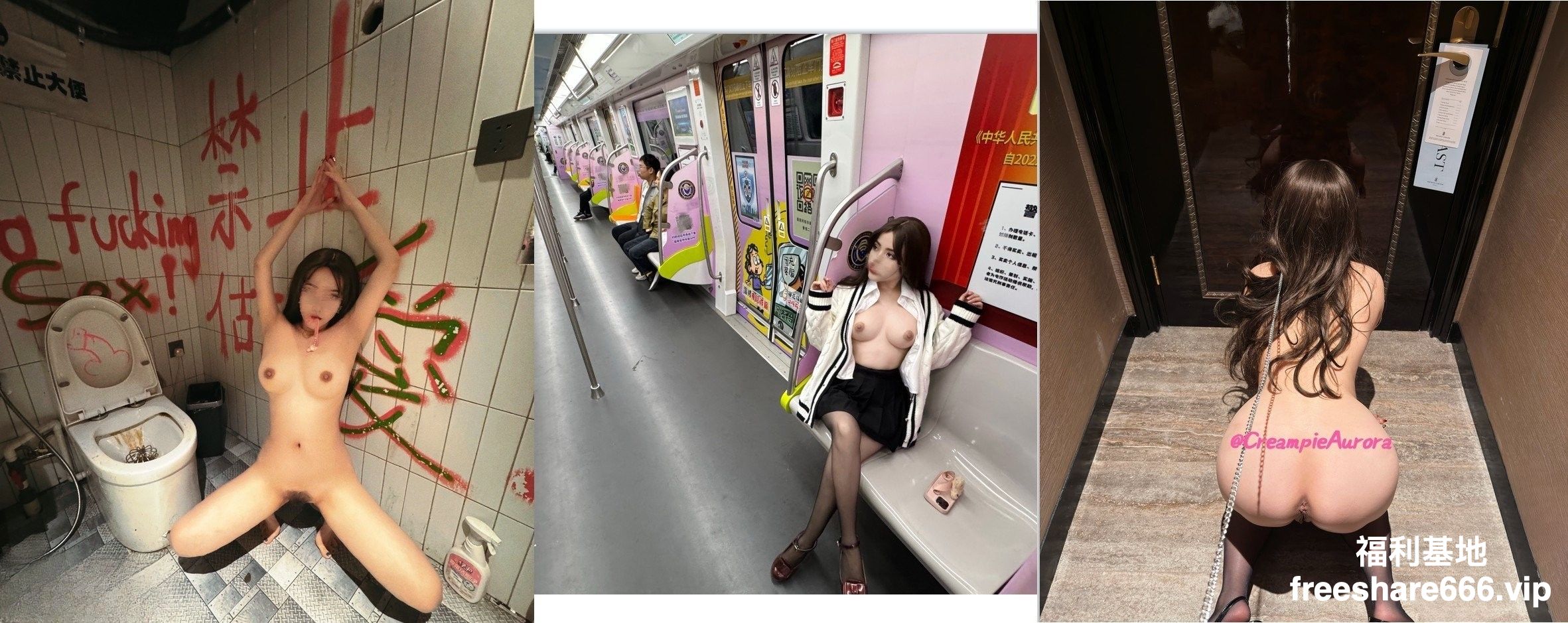 顶级美乳九头身御姐阿罗拉合集60V/113P/2.02G